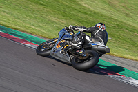 Advanced Group Silver_Grey Bikes